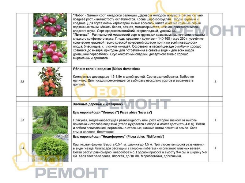 Проект благоустройства территории-102